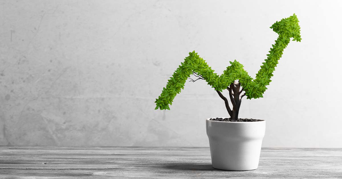 my business accounts