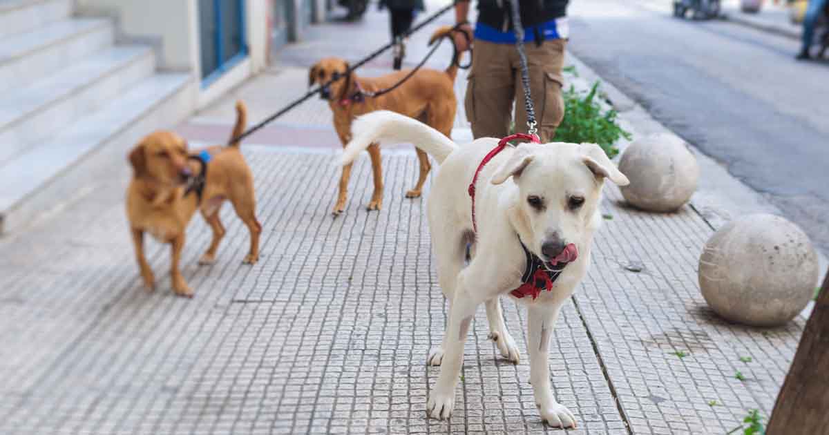 part time jobs in canada