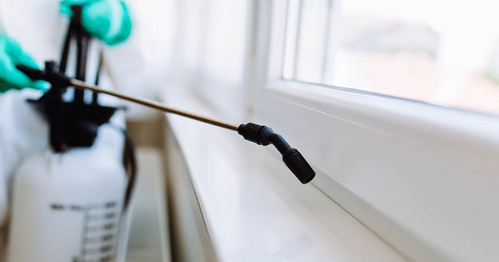 Avoid bed bugs when you travel – tips & prevention methods&nbsp; blog image