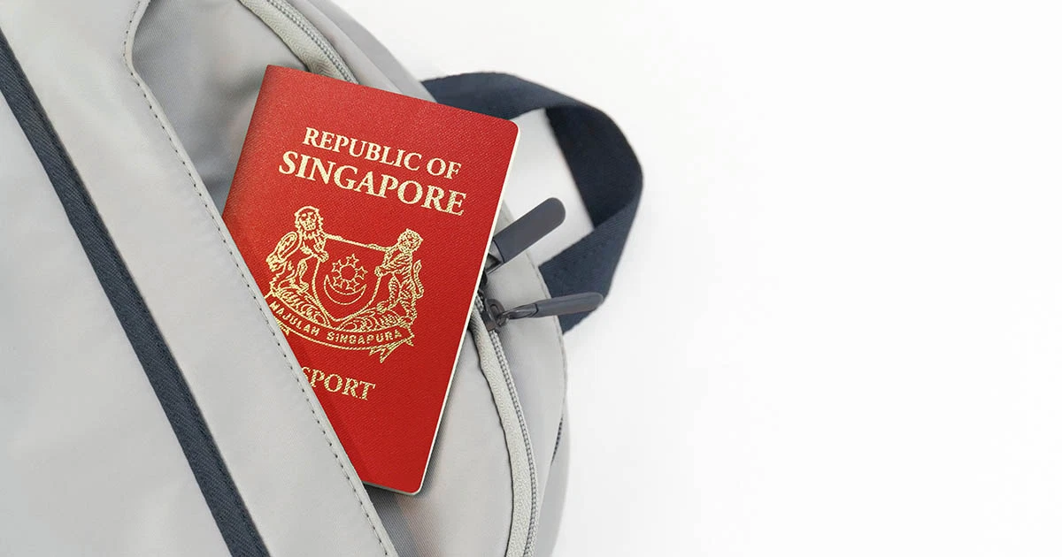 electronic visa sg